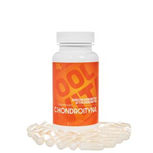 CHONDROITYNA 500 MG | 80 kapsułek