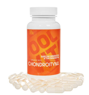 CHONDROITYNA 500 MG | 80 kapsułek